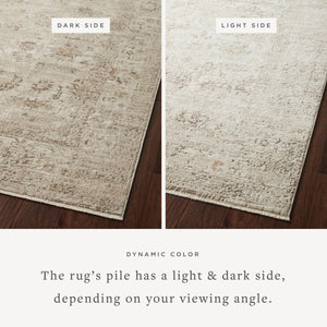 Loloi Sonnet SNN-01 Area Rug