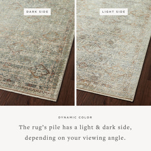Loloi Sonnet SNN-02 Area Rug