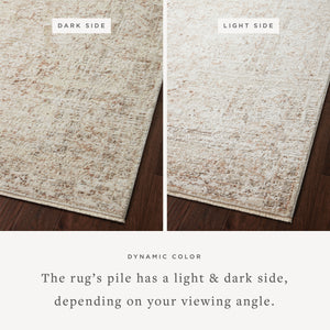 Loloi Sonnet SNN-03 Area Rug
