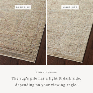 Loloi Sonnet SNN-04 Area Rug