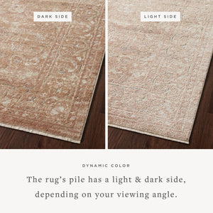 Loloi Sonnet SNN-04 Area Rug