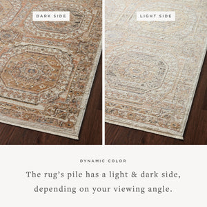 Loloi Sonnet SNN-06 Area Rug