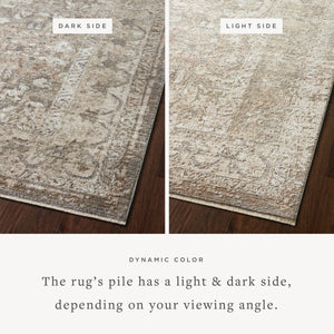 Loloi Sonnet SNN-08 Area Rug