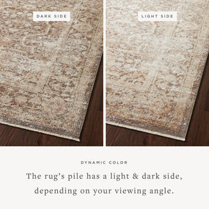 Loloi Sonnet SNN-09 Area Rug