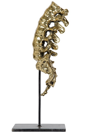 Noir Vertebrae - Brass and Metal