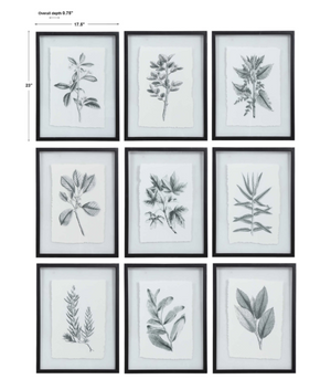 Uttermost Farmhouse Florals Framed Prints, S/9