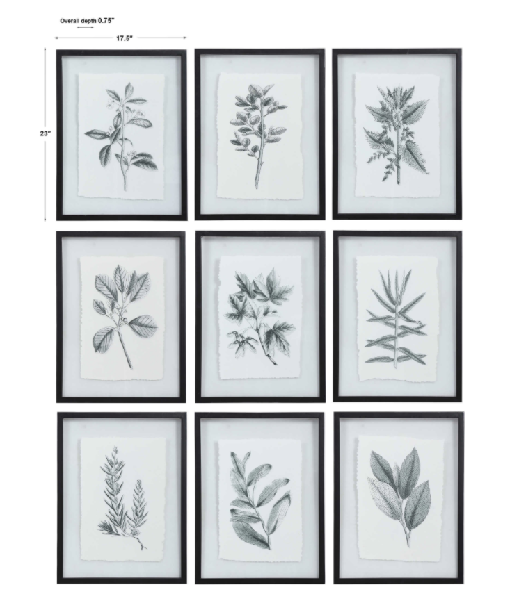 Uttermost Farmhouse Florals Framed Prints, S/9
