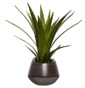 Faux Agave Succulent Plant