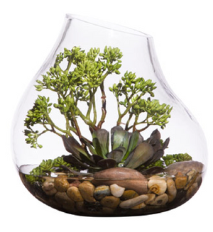 Faux Potted Succulents Terrarium