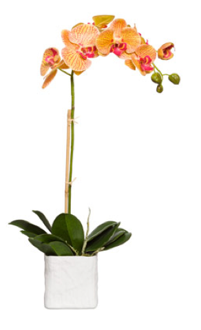Silk Single Stem Orchid Plant - Orange & Pink