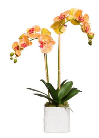 Large Silk Double Stem Orchid Plant - Orange & Pink