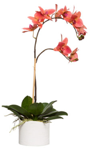 Large Silk Single Stem Orchid Plant - Coral