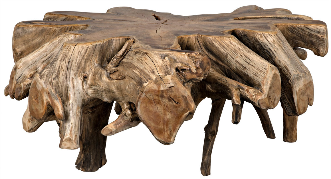 Noir Teak Root Coffee Table