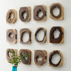 Chamcha Wood Wall Tile, Assorted Styles