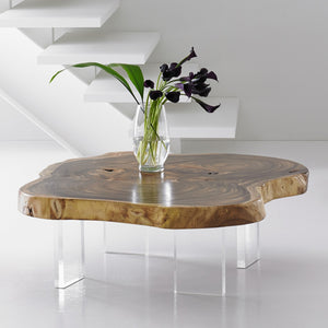 Floating Coffee Table with Acrylic Legs - Chamcha Wood