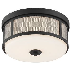 Trevor 2 Light Black Forged Ceiling Mount