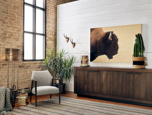 American Bison Wall Art