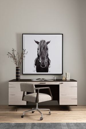 Horse-Photo,black Mpl 40"x40"