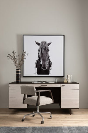 Horse-Photo,black Mpl 48"x48"