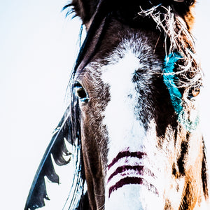 War Horse Wall Art