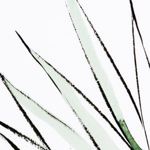 Agave Crop Wall Art by Jess Engle