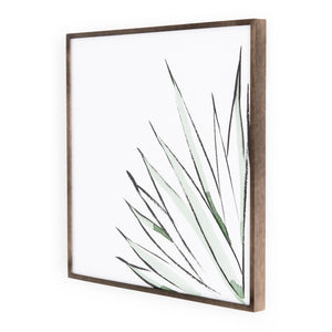 Agave Crop Wall Art by Jess Engle