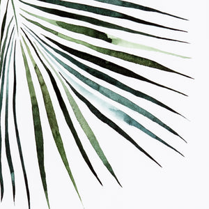 Palm Wall Art by Jess Engle