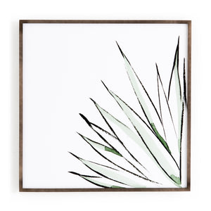 Botanicals In Watercolor Wall Art by Jess Engle - Set of 3