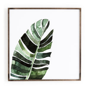 Botanicals In Watercolor Wall Art by Jess Engle - Set of 3