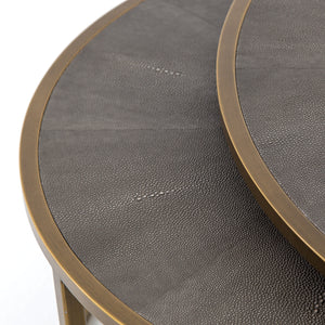 Shagreen Nesting Coffee Table-Brass