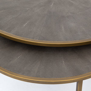 Shagreen Nesting Coffee Table-Brass