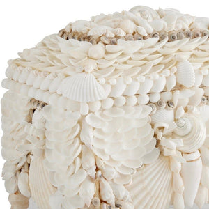 Boardwalk White Shell Jewelry Box