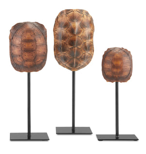 Turtle Shells Set of 3 - Dark Brown/Antique Brown/Black