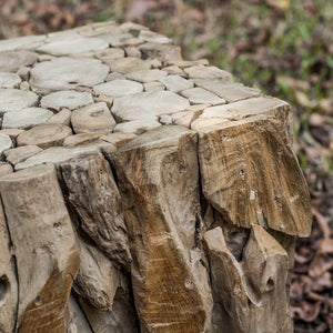 Furniture - Teak Root Cube