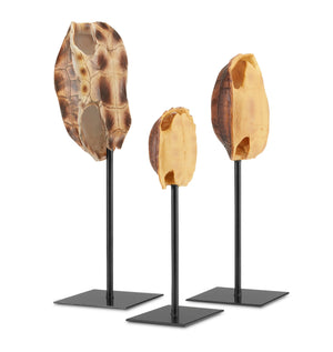 Turtle Shells Set of 3 - Dark Brown/Antique Brown/Black