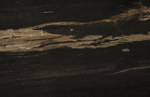 Petrified Wood Side Table, Laminated