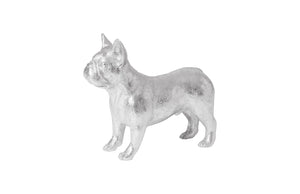 French Bulldog, Silver