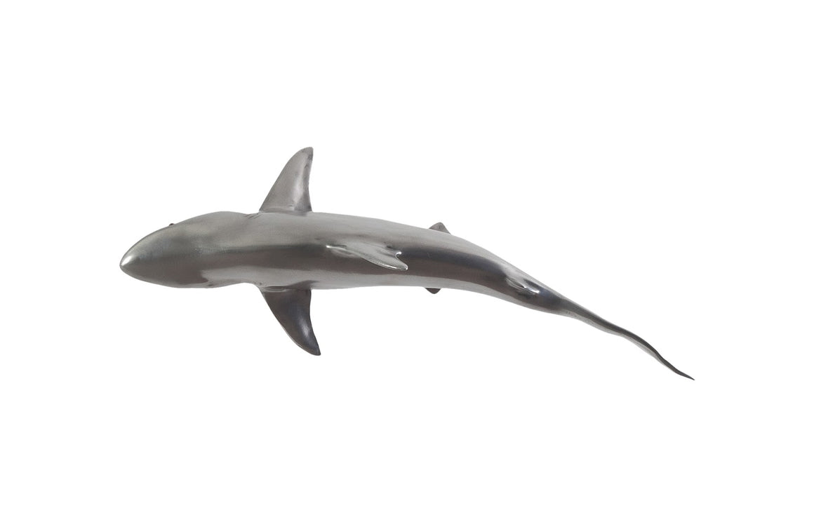 Whaler Shark, Silver Leaf