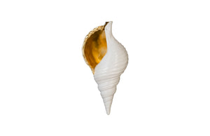 Triton Shell Wall Art, Pearl White and Gold Leaf