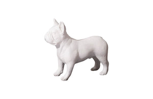 French Bulldog, Gel Coat White
