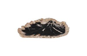 Petrified Wood Plate, Assorted Color and Shape, SM