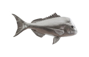 Australian Snapper Fish Wall Sculpture, Resin, Silver Leaf