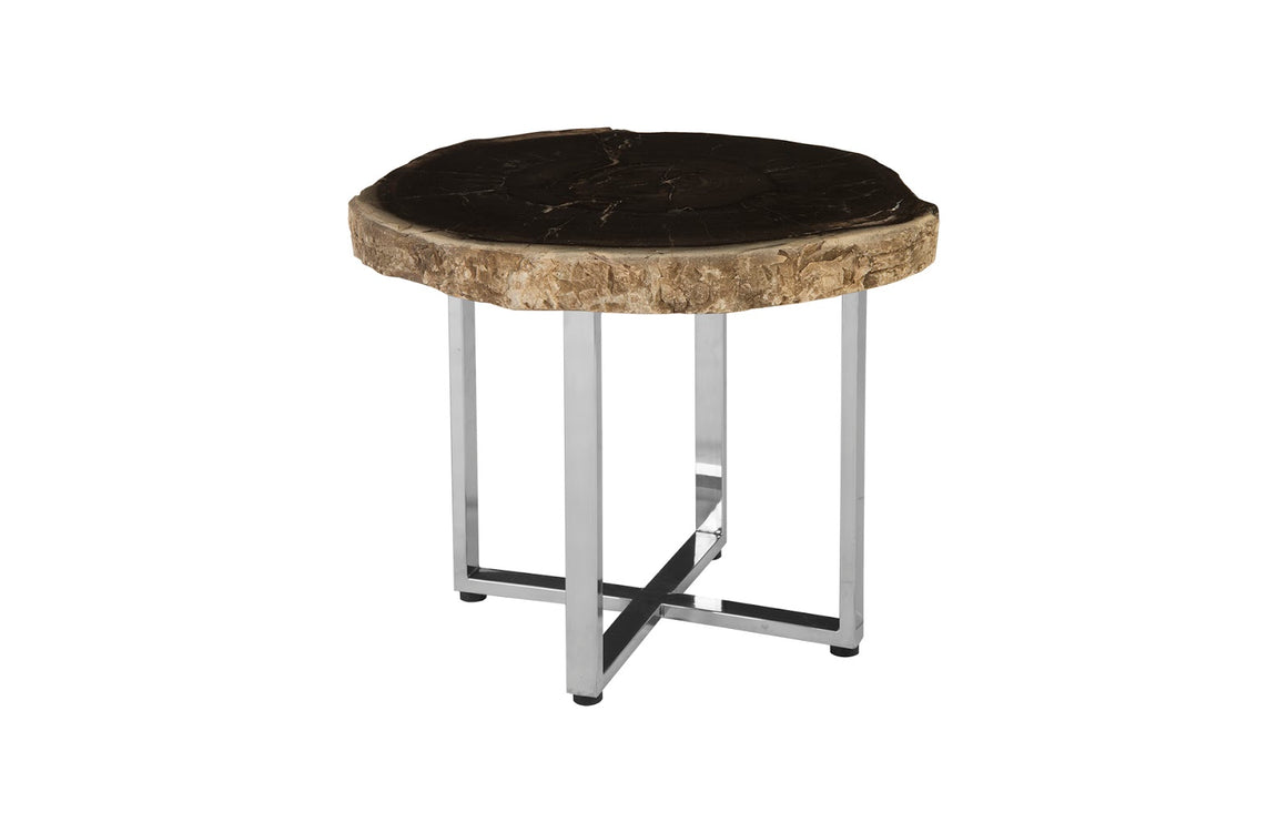 Petrified Wood Coffee Table, SS Legs, Assorted