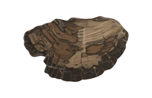 Cast Petrified Wood Wall Tile, Resin