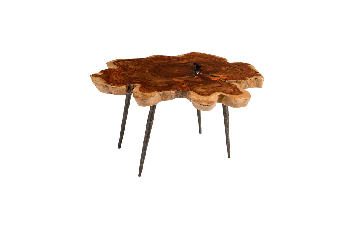 Makha Burled Wood Coffee Table, Forged Legs