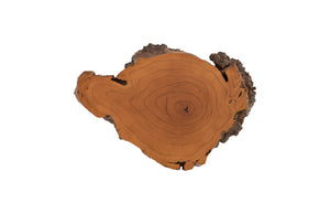 Burled Root Wall Art, Faux Bois, SM