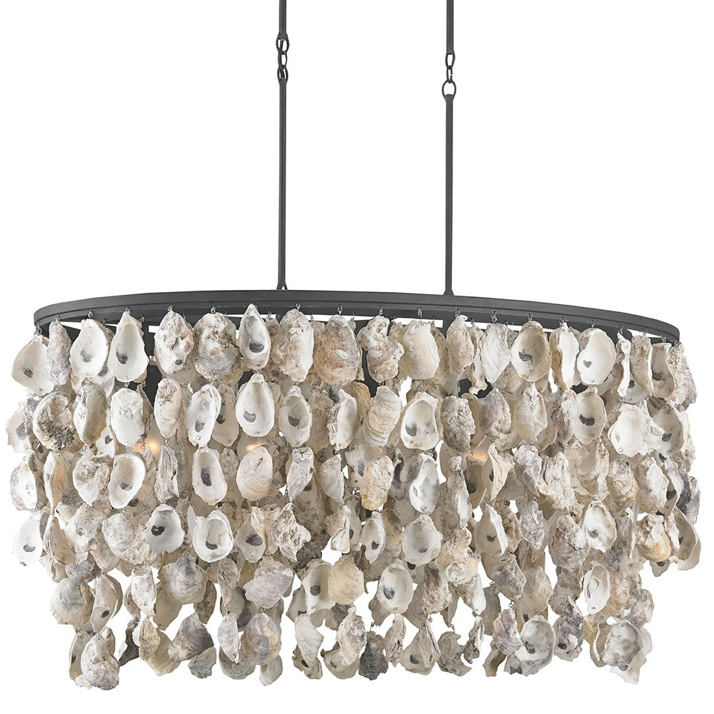 Lighting - Cascading Oyster Shells Round Chandelier