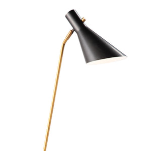 Spyder Floor Lamp (Blackened Brass and Natural Brass)