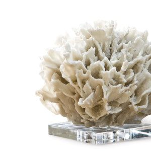 Ribbon Coral (White)