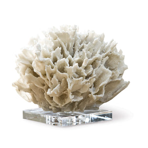 Ribbon Coral (White)